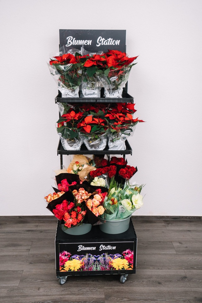 [01-07-105-00024] Freestanding Mobile Station for Flowers - with Castors